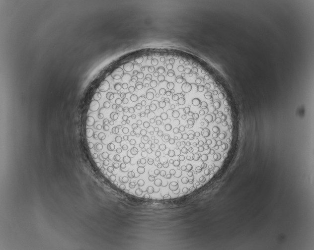 X0000116151311201001041045