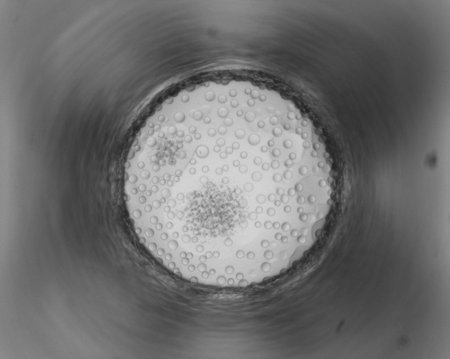 X0000116151313201001041045