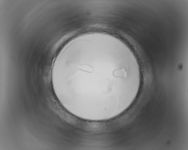 X0000116151314201001041045