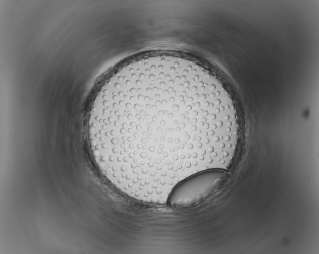 X0000116151315201001041045