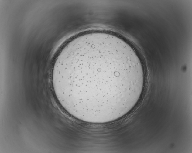 X0000116151318201001041045