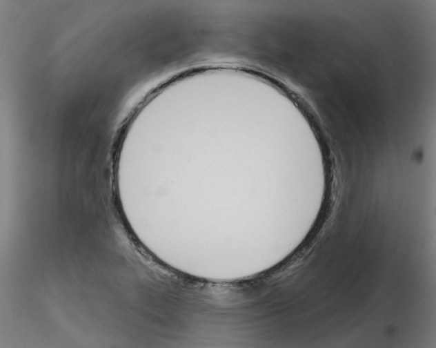 X0000116151319201001041045