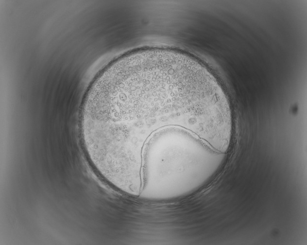 X0000116151327201001041045