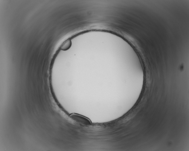 X0000116151334201001041045