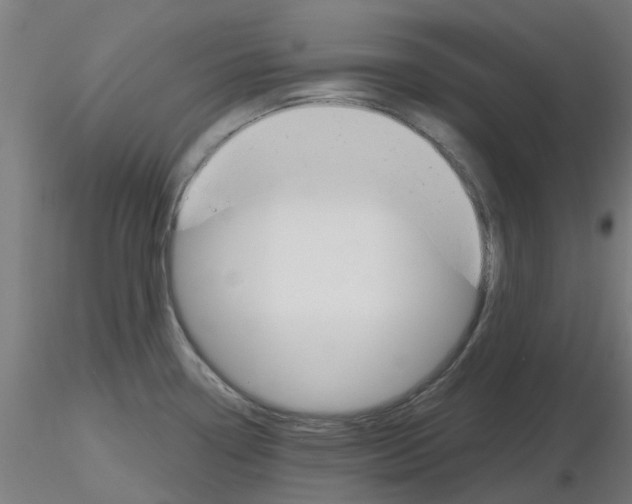 X0000116151338201001041045