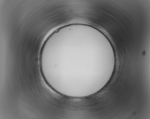 X0000116151339201001041045