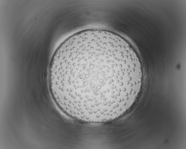 X0000116151343201001041045