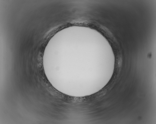 X0000116151350201001041045