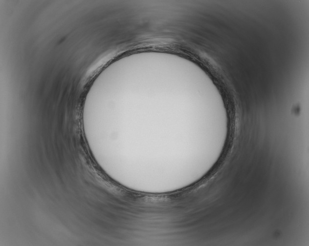 X0000116151354201001041045