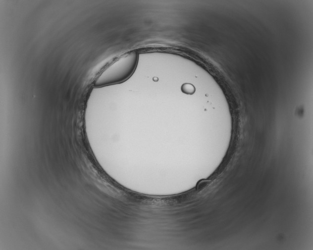 X0000116151355201001041044