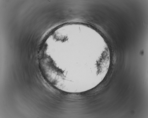 X0000116151356201001041044