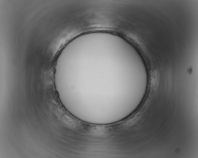 X0000116151357201001041044