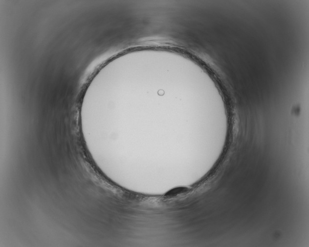 X0000116151358201001041044