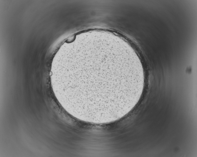 X0000116151359201001041044