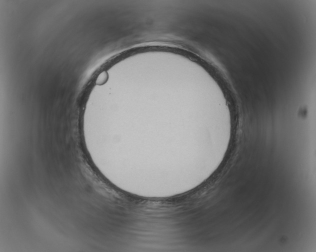 X0000116151360201001041044