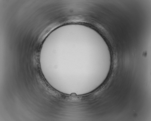 X0000116151361201001041044