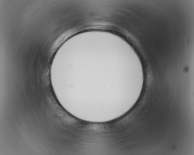 X0000116151362201001041044