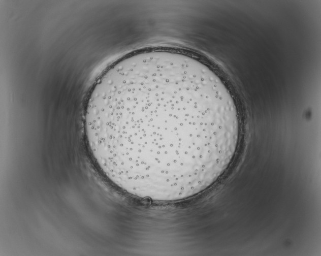 X0000116151363201001041044