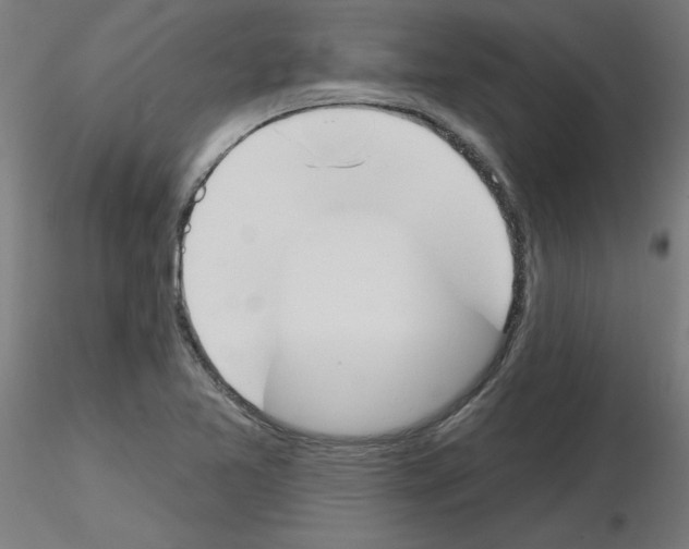 X0000116151365201001041044