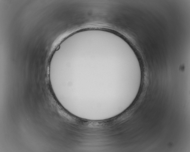 X0000116151366201001041044