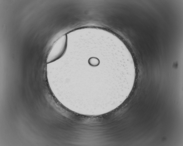 X0000116151367201001041044