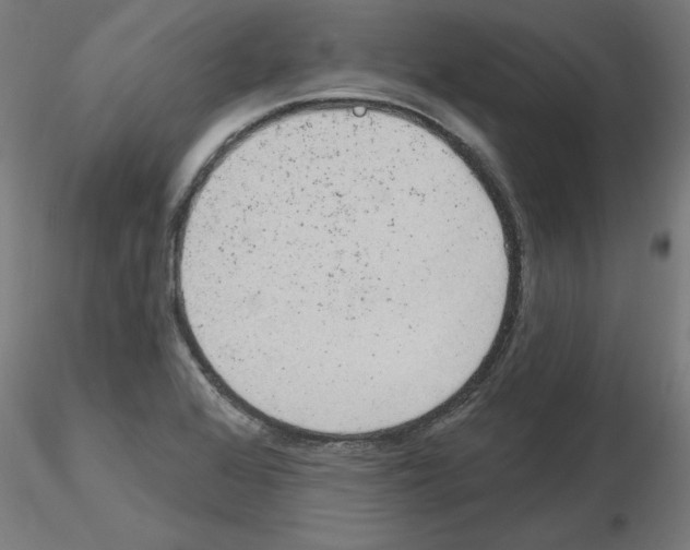 X0000116151368201001041044