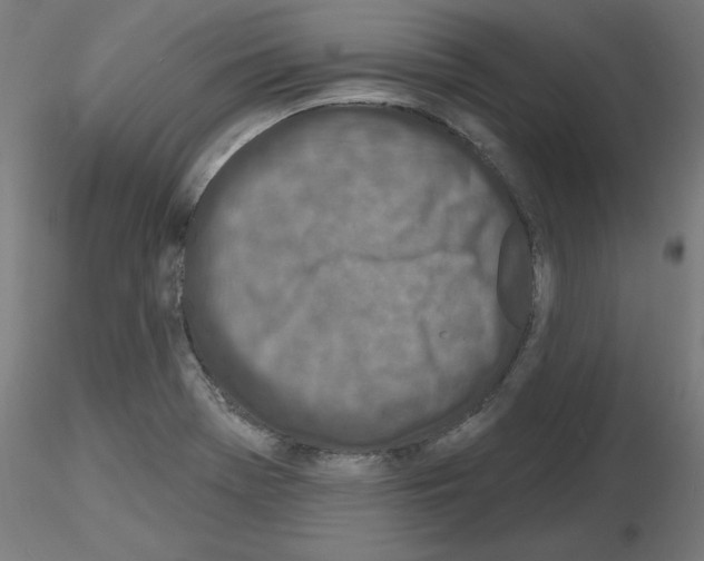 X0000116151369201001041044