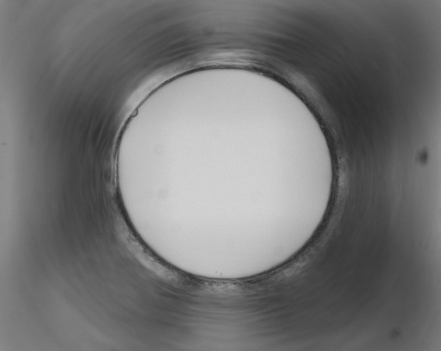 X0000116151370201001041044