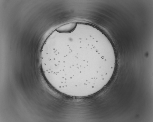 X0000116151371201001041044