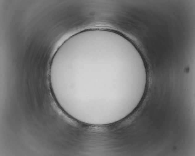 X0000116151374201001041044