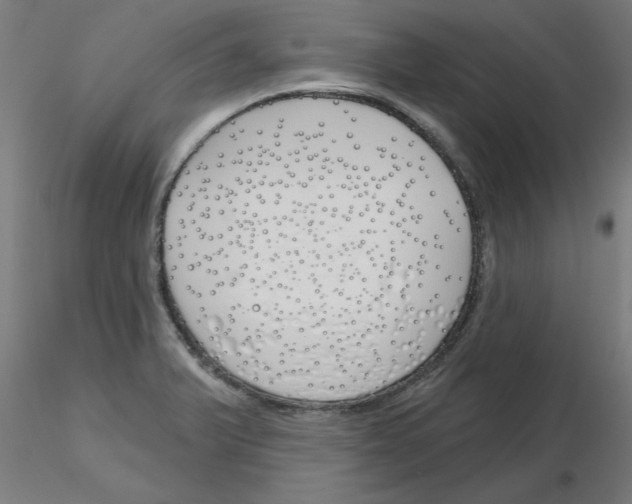 X0000116151375201001041044