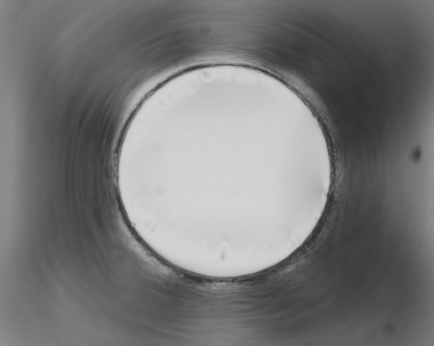 X0000116151380201001041044