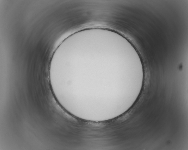 X0000116151382201001041044