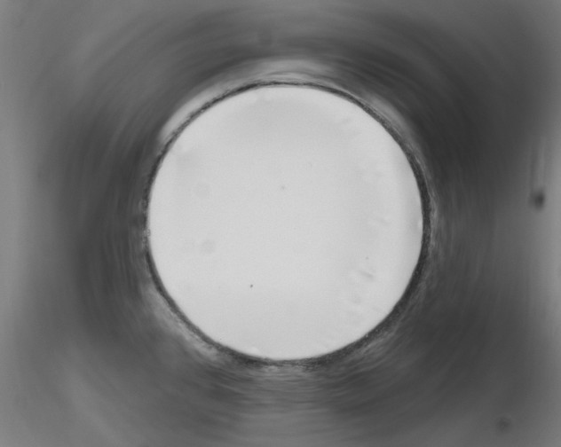 X0000116151384201001041044