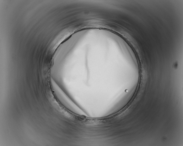 X0000116151385201001041044