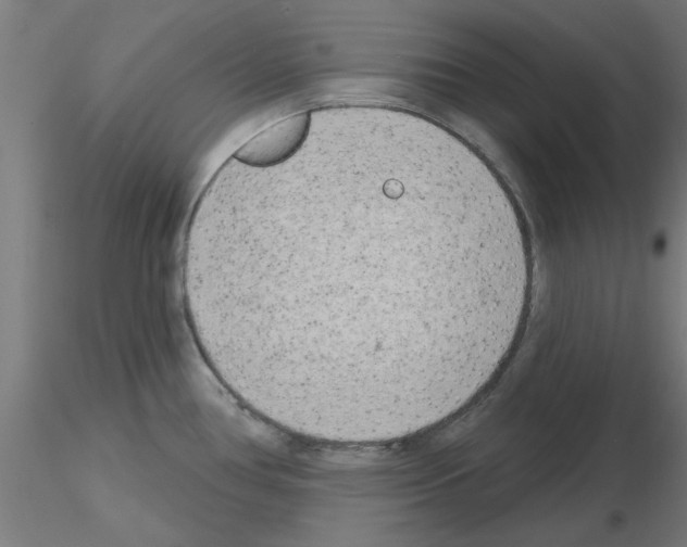 X0000116151386201001041044