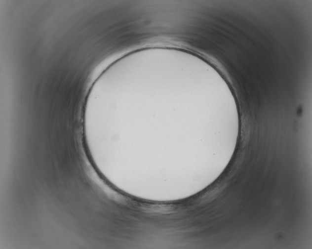 X0000116151387201001041044