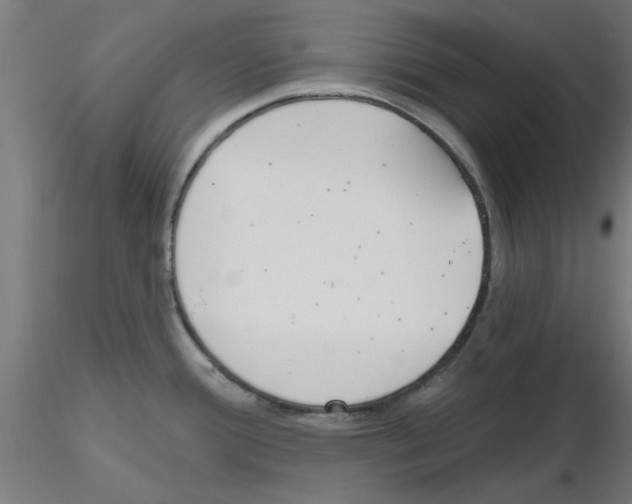 X0000116151388201001041044