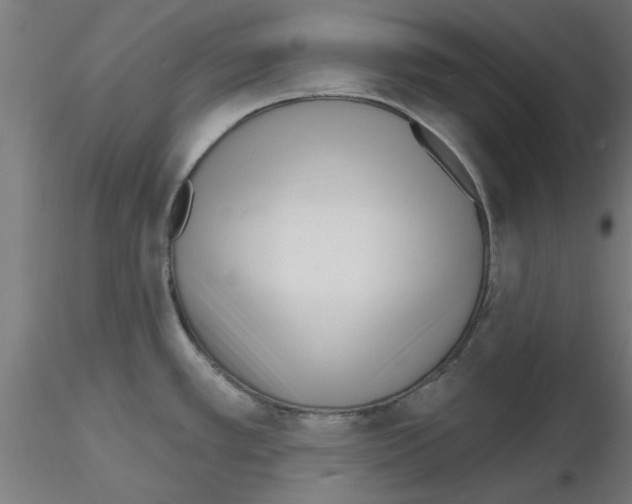 X0000116151389201001041044