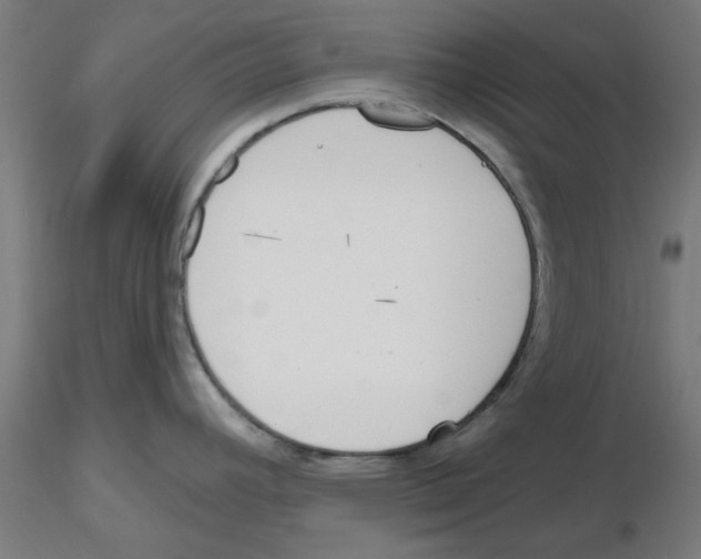 X0000116151392201001041044