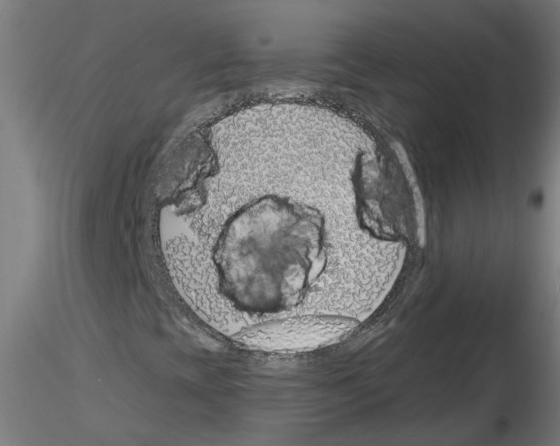 X0000116151393201001041043