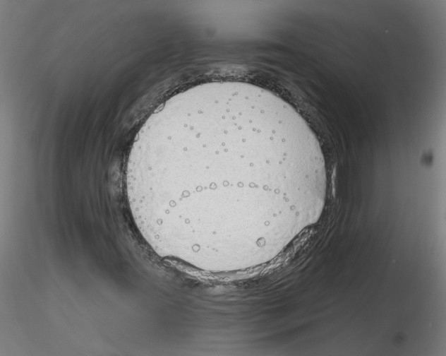 X0000116151395201001041043