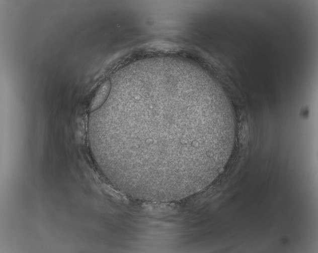 X0000116151397201001041043