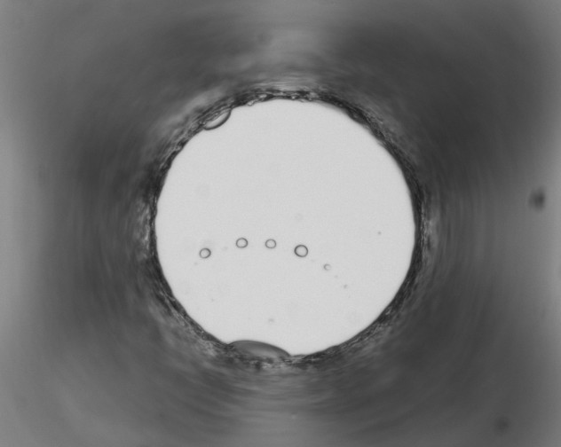 X0000116151398201001041043