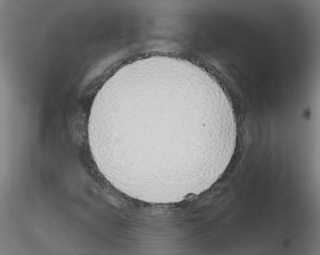 X0000116151399201001041043