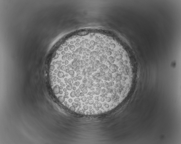 X0000116151400201001041043