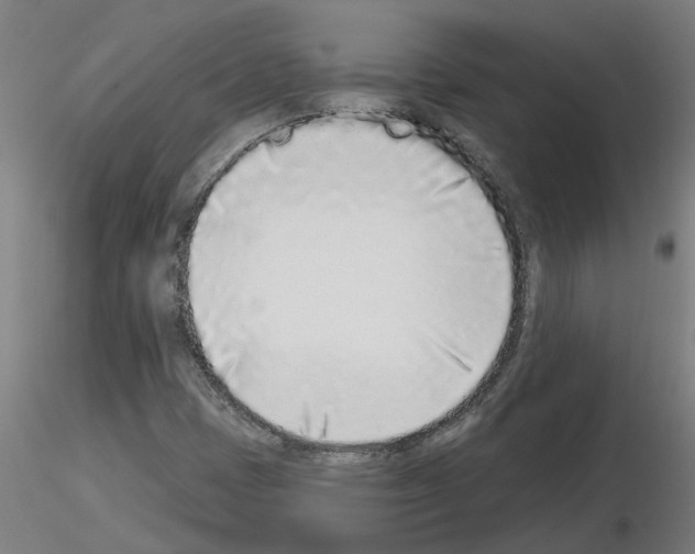 X0000116151401201001041043