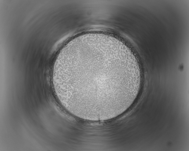 X0000116151403201001041043