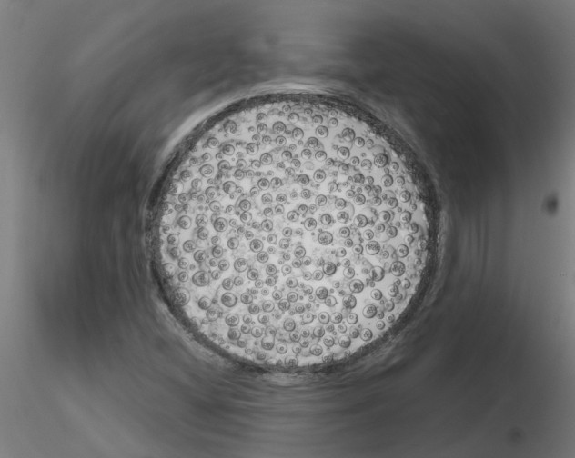 X0000116151404201001041043