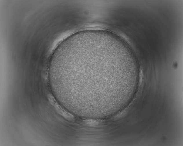 X0000116151405201001041044